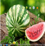 清凉西瓜电脑主题 win7版 1.0