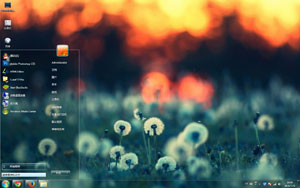 唯美蒲公英电脑主题 win7版 1.0