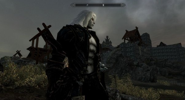 上古卷轴5天际吸血鬼贵族阿鲁卡捏脸档免费版10