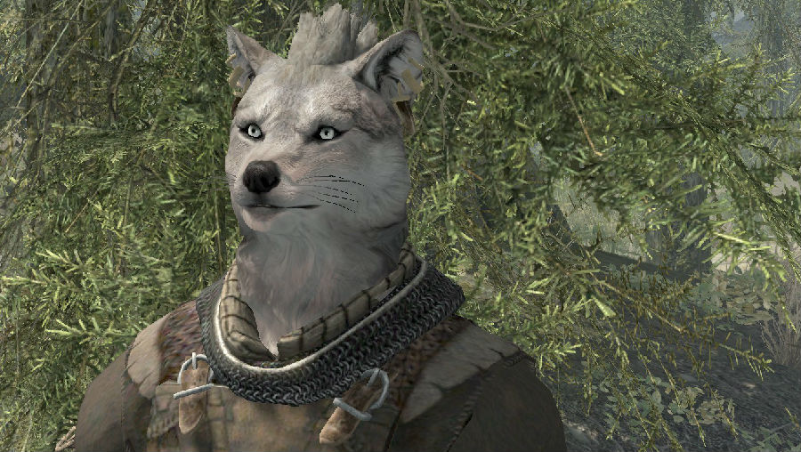 上古卷轴5天际狼头人随从钢罗斯mod免费版10