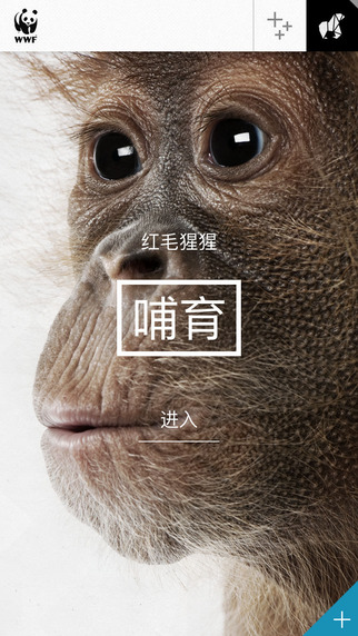 WWF Together 2.1.1 iPhone版