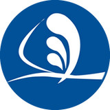 智慧货运app 1.2.9 安卓版 智慧货运app 1.2.9 安卓版