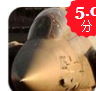 狂野战机 1.0 安卓版 狂野战机 1.0 安卓版