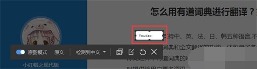 有道翻译在线翻译软件 8.5.2.0 免费版