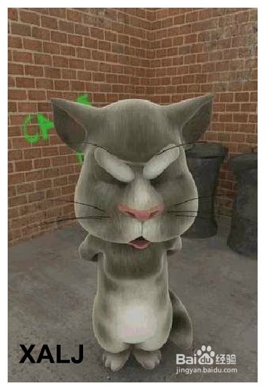 会说话的汤姆猫手机版下载 3.6.2 内购破解版