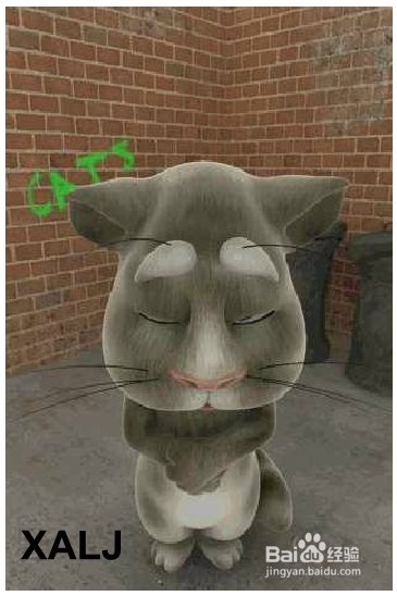 会说话的汤姆猫手机版下载 3.6.2 内购破解版