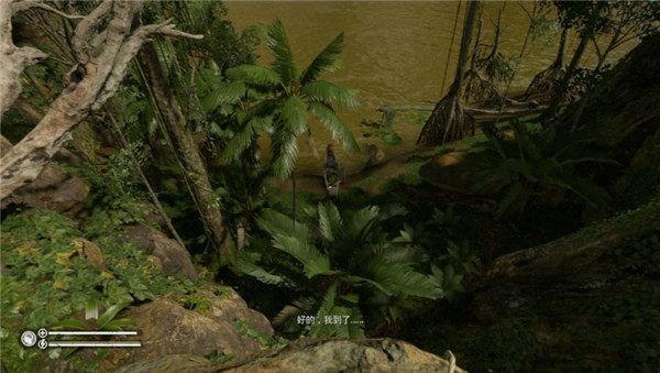 逼真体验绿色地狱破解版游戏亮点61 身体状况61 心理状态玩家的